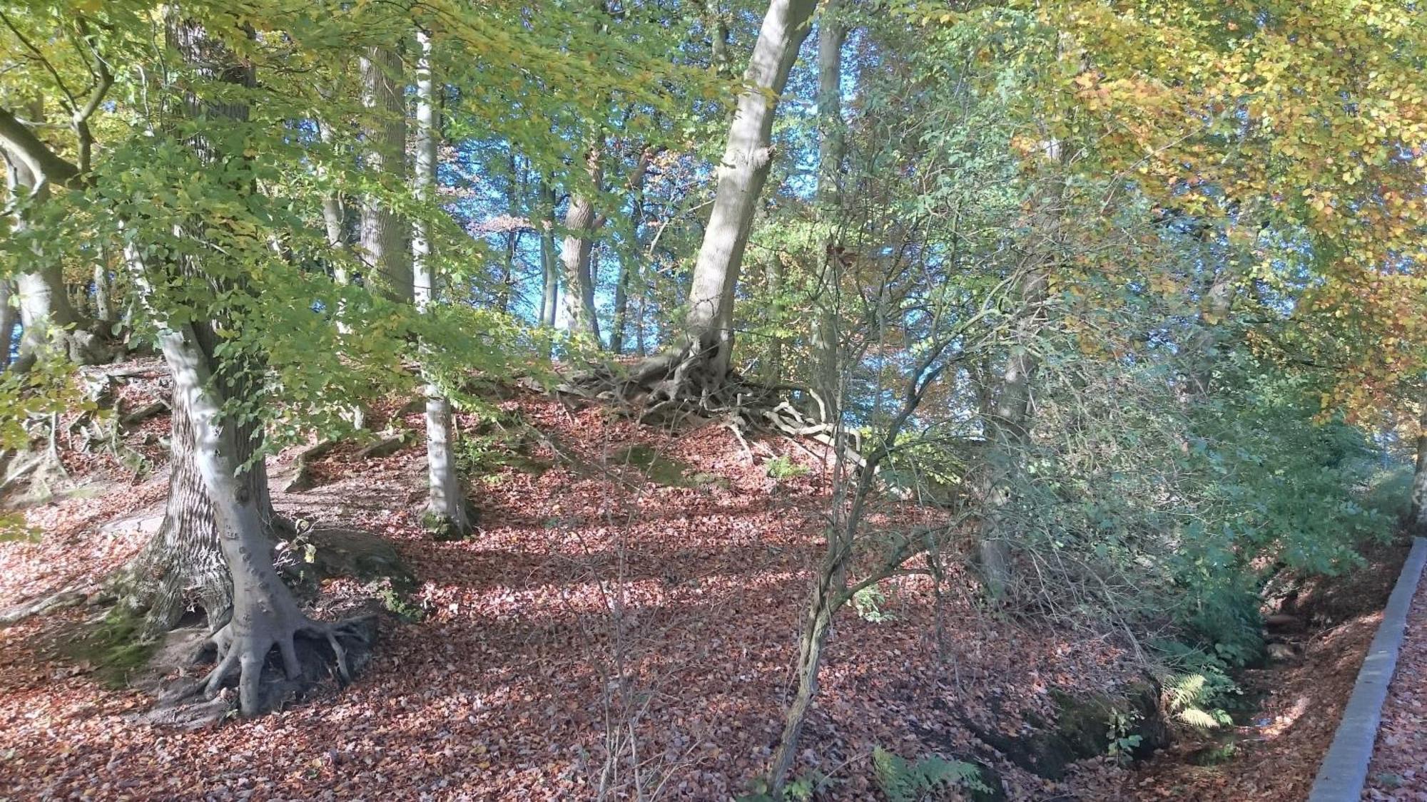 Wittenborn Mobilheim Am See מראה חיצוני תמונה