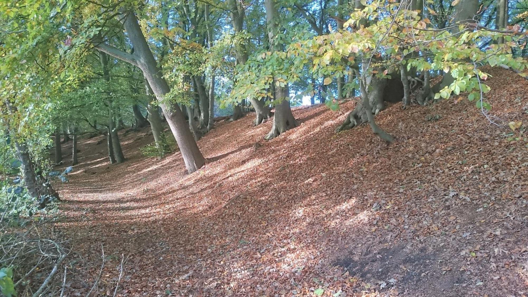 Wittenborn Mobilheim Am See מראה חיצוני תמונה